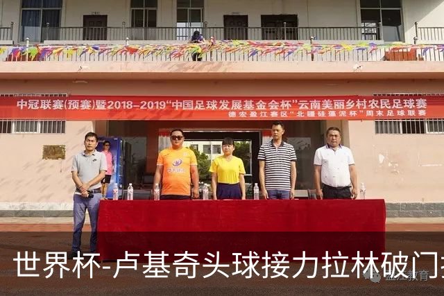 世界杯-卢基奇头球接力拉林破门扳平 加拿大1-1波黑